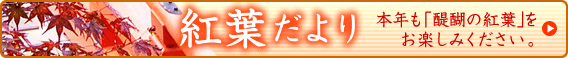 醍醐寺　紅葉だより