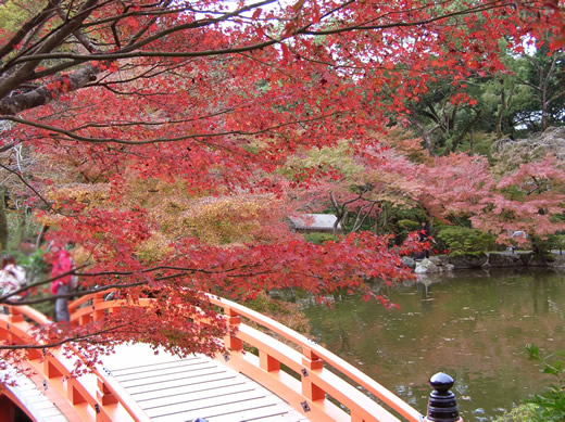 林泉