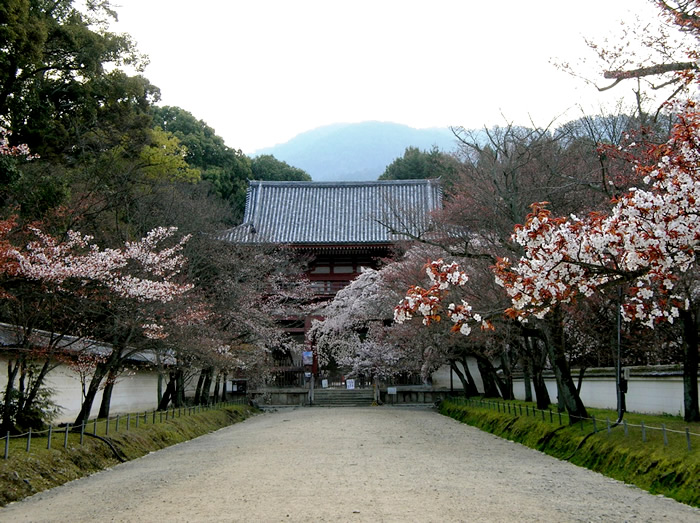 桜の馬場