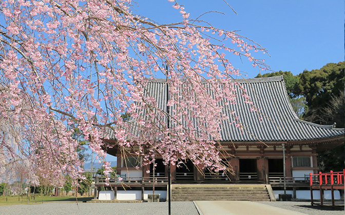 Kon-dō,Main Hall