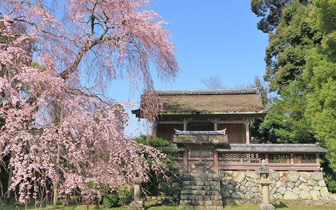 Seiryugu Honden