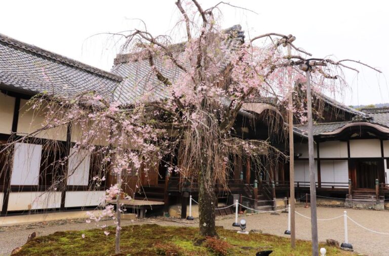 醍醐寺