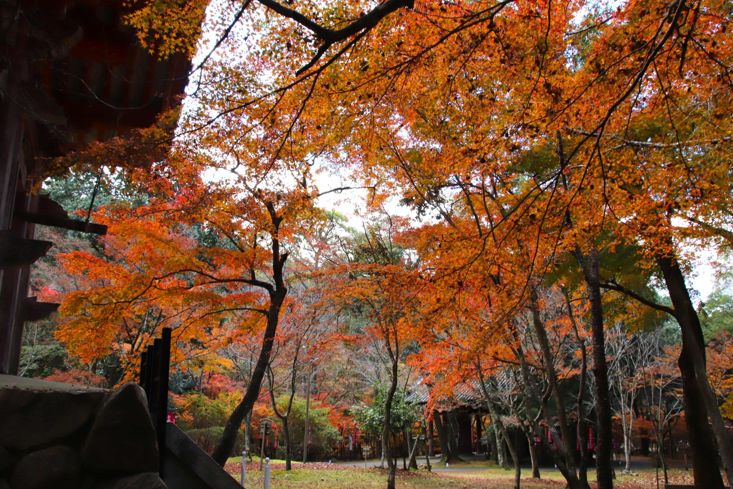 行事案内｜世界遺産 京都 醍醐寺