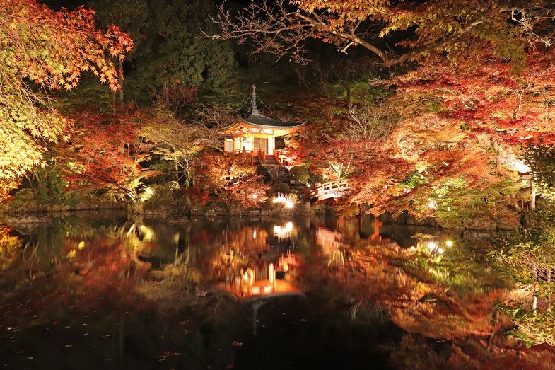 世界遺産 京都 醍醐寺