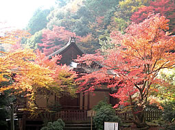 near Seiryu-gu Haiden, Kami-Daigo