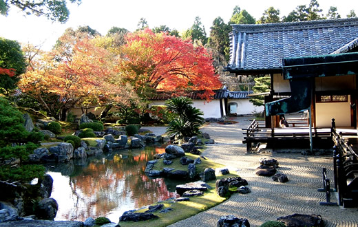 三宝院　紅葉