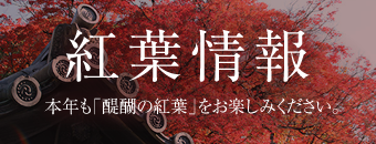 紅葉情報