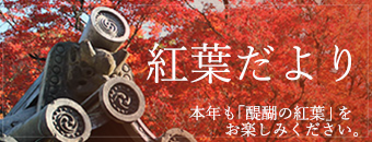 紅葉だより：醍醐寺の様々な情報をお伝えします