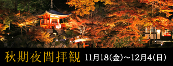 秋期夜間拝観／11月15（金）〜12月1日（日）
