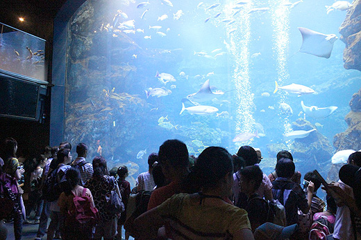 京都水族館