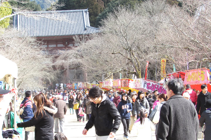 参道　桜の馬場