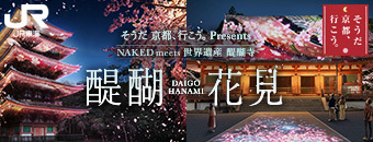 醍醐の花見をお楽しみください。